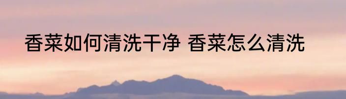 香菜如何清洗干净 香菜怎么清洗