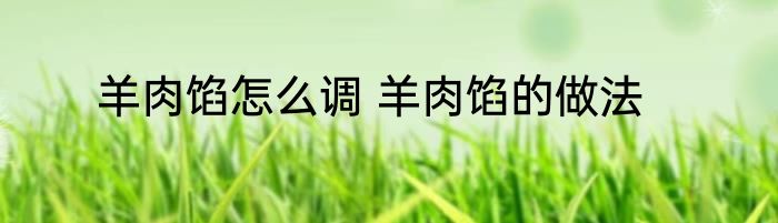 羊肉馅怎么调 羊肉馅的做法