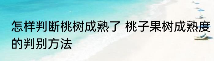 怎样判断桃树成熟了 桃子果树成熟度的判别方法