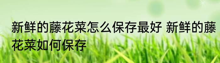 新鲜的藤花菜怎么保存最好 新鲜的藤花菜如何保存