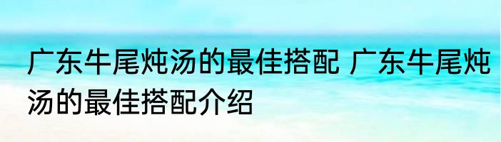 广东牛尾炖汤的最佳搭配 广东牛尾炖汤的最佳搭配介绍