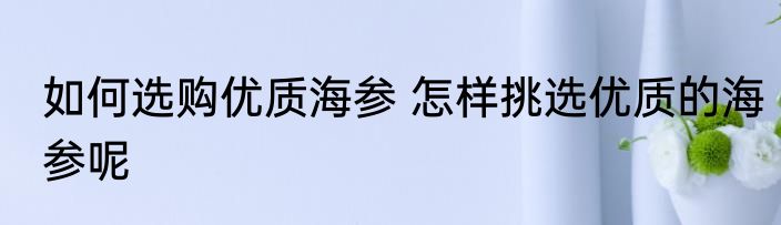 如何选购优质海参 怎样挑选优质的海参呢