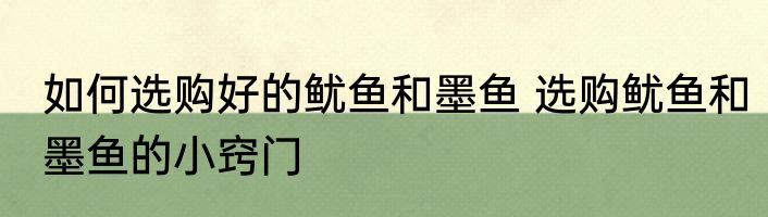 如何选购好的鱿鱼和墨鱼 选购鱿鱼和墨鱼的小窍门