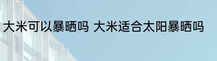 大米可以暴晒吗 大米适合太阳暴晒吗