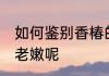 如何鉴别香椿的老嫩 怎样辨别香椿的老嫩呢