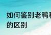 如何鉴别老鸭和嫩鸭 老鸭子和嫩鸭子的区别