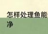 怎样处理鱼能处理干净 鱼怎么处理干净