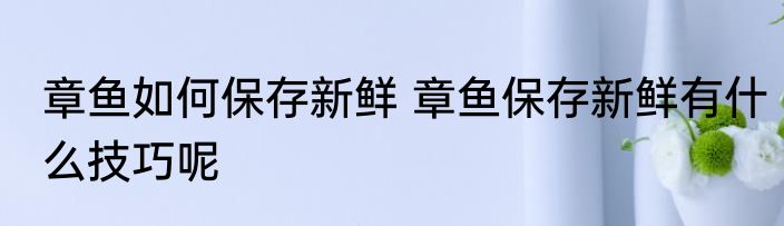 章鱼如何保存新鲜 章鱼保存新鲜有什么技巧呢