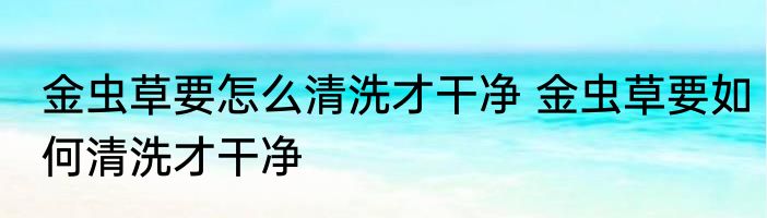 金虫草要怎么清洗才干净 金虫草要如何清洗才干净