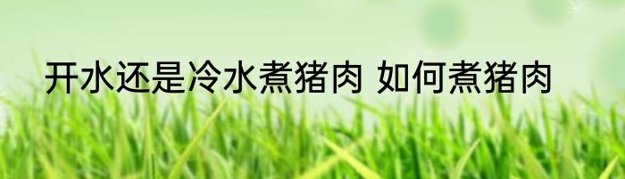 开水还是冷水煮猪肉 如何煮猪肉