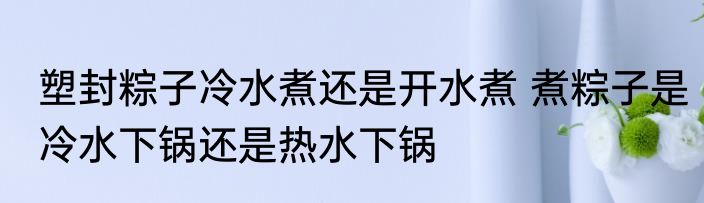 塑封粽子冷水煮还是开水煮 煮粽子是冷水下锅还是热水下锅