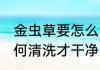 金虫草要怎么清洗才干净 金虫草要如何清洗才干净