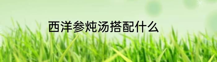 西洋参炖汤搭配什么