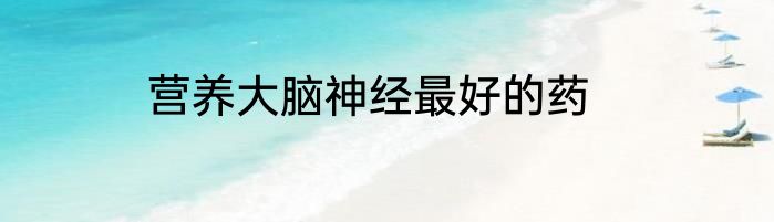 营养大脑神经最好的药