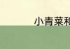 小青菜和什么搭配好吃