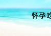 怀孕吃什么有营养