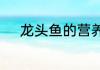 龙头鱼的营养价值及功效与作用
