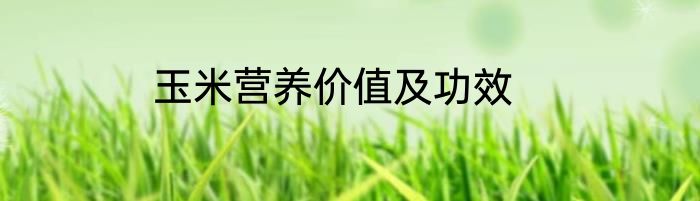 玉米营养价值及功效