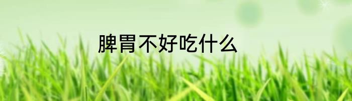 脾胃不好吃什么