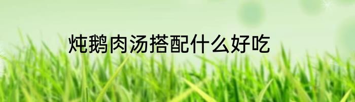 炖鹅肉汤搭配什么好吃