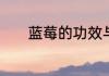 蓝莓的功效与作用及营养价值