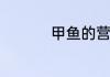甲鱼的营养价值及功效