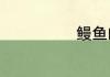 鳗鱼的营养价值