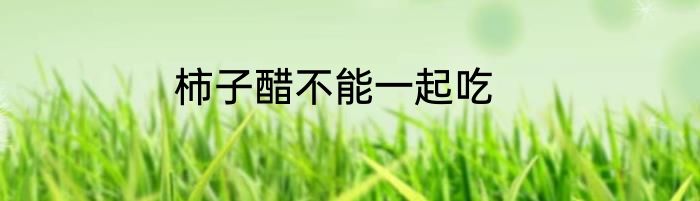 柿子醋不能一起吃