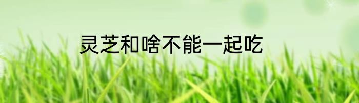 灵芝和啥不能一起吃