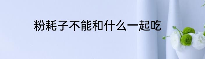 粉耗子不能和什么一起吃