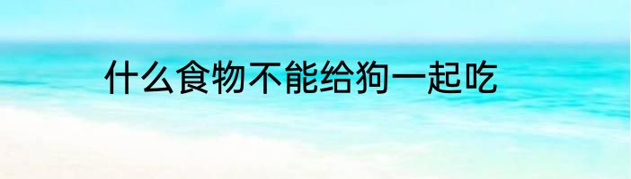 什么食物不能给狗一起吃