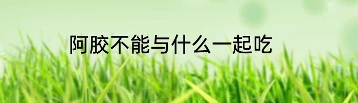 阿胶不能与什么一起吃