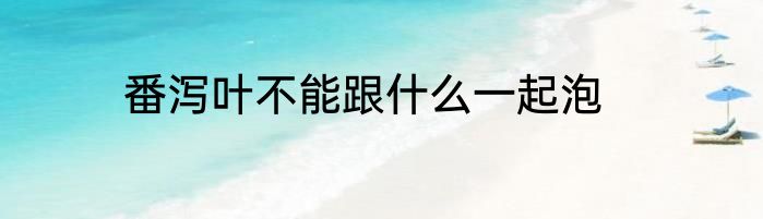 番泻叶不能跟什么一起泡
