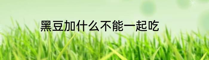 黑豆加什么不能一起吃