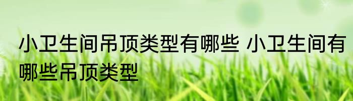小卫生间吊顶类型有哪些 小卫生间有哪些吊顶类型