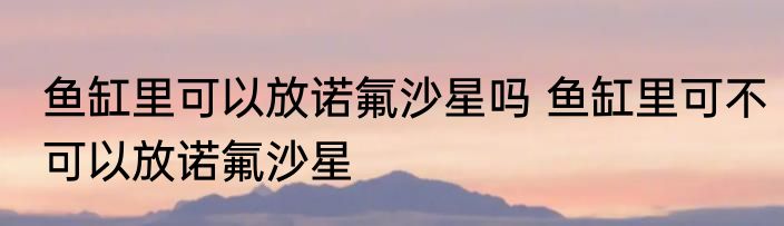 鱼缸里可以放诺氟沙星吗 鱼缸里可不可以放诺氟沙星