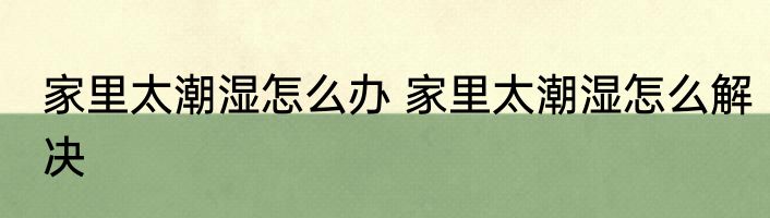 家里太潮湿怎么办 家里太潮湿怎么解决