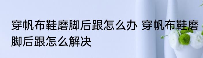 穿帆布鞋磨脚后跟怎么办 穿帆布鞋磨脚后跟怎么解决