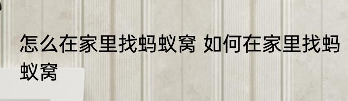 怎么在家里找蚂蚁窝 如何在家里找蚂蚁窝