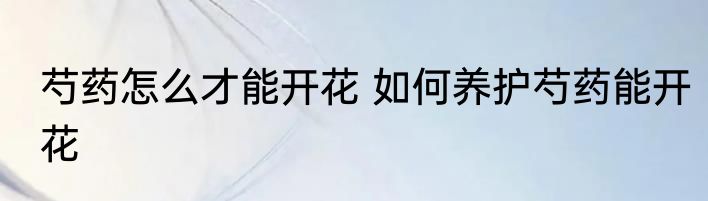 芍药怎么才能开花 如何养护芍药能开花