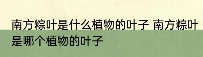 南方粽叶是什么植物的叶子 南方粽叶是哪个植物的叶子