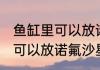 鱼缸里可以放诺氟沙星吗 鱼缸里可不可以放诺氟沙星