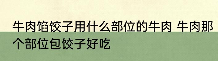 牛肉馅饺子用什么部位的牛肉 牛肉那个部位包饺子好吃