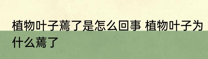 植物叶子蔫了是怎么回事 植物叶子为什么蔫了
