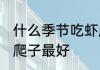 什么季节吃虾爬子最好 哪个季节吃虾爬子最好
