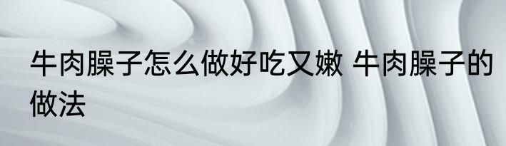 牛肉臊子怎么做好吃又嫩 牛肉臊子的做法