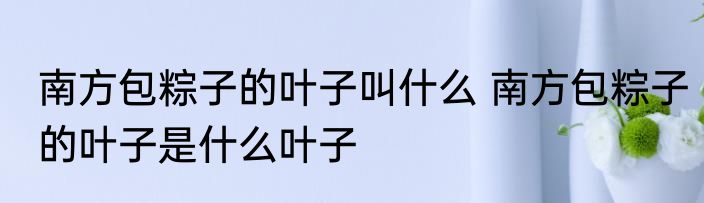 南方包粽子的叶子叫什么 南方包粽子的叶子是什么叶子