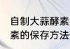 自制大蒜酵素的保存方法 自制大蒜酵素的保存方法介绍
