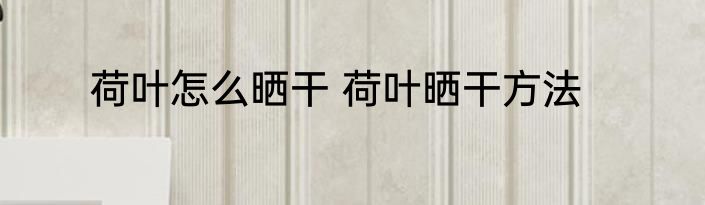 荷叶怎么晒干 荷叶晒干方法