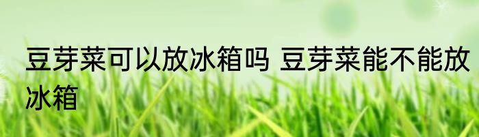 豆芽菜可以放冰箱吗 豆芽菜能不能放冰箱